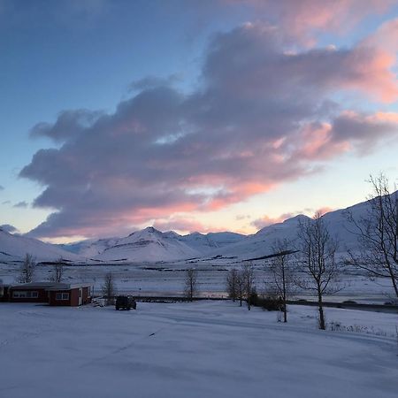 Hofthi Cottages Dalvík Dış mekan fotoğraf