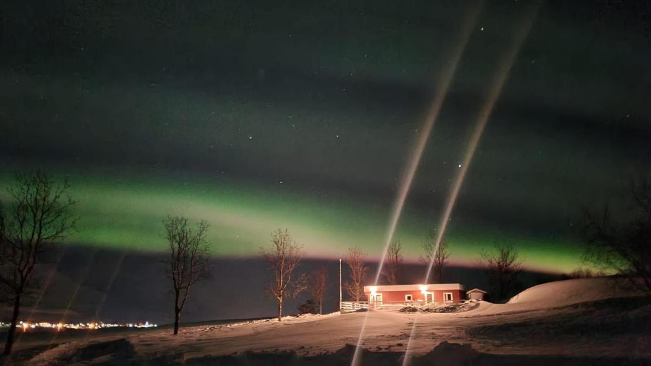 Hoefthi Cottages Dalvík Dış mekan fotoğraf