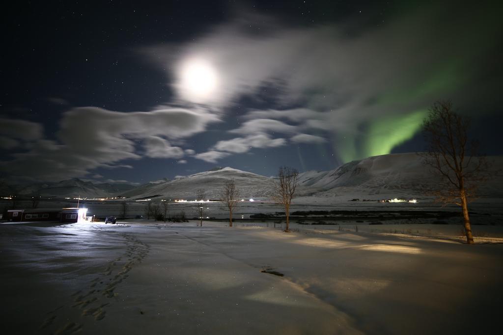 Hofthi Cottages Dalvík Dış mekan fotoğraf