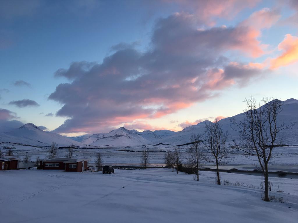 Hoefthi Cottages Dalvík Dış mekan fotoğraf