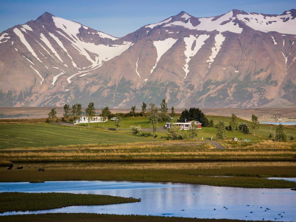 Hofthi Cottages Dalvík Dış mekan fotoğraf