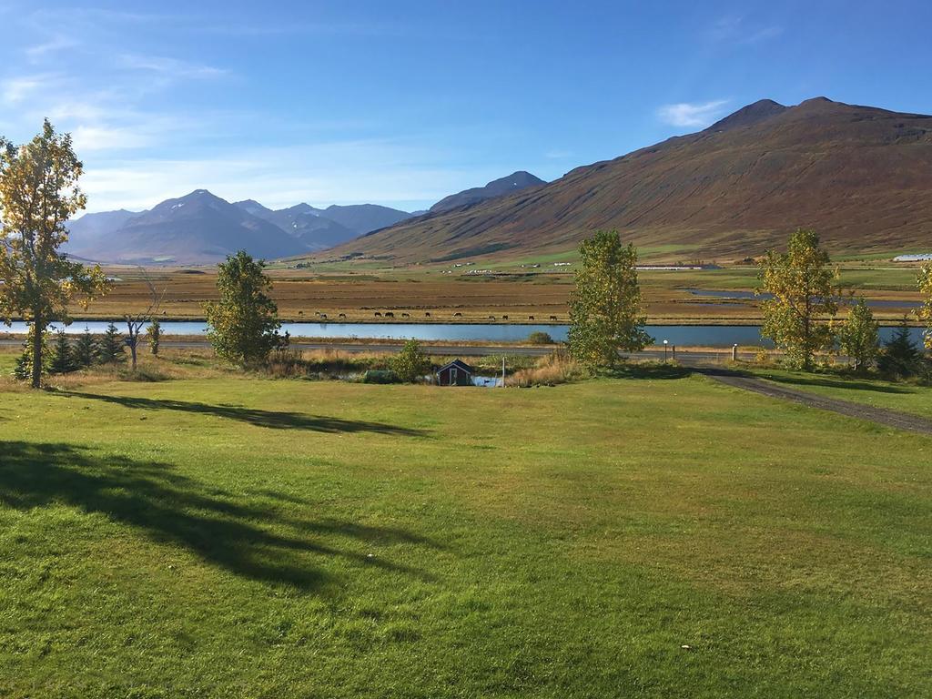 Hofthi Cottages Dalvík Dış mekan fotoğraf